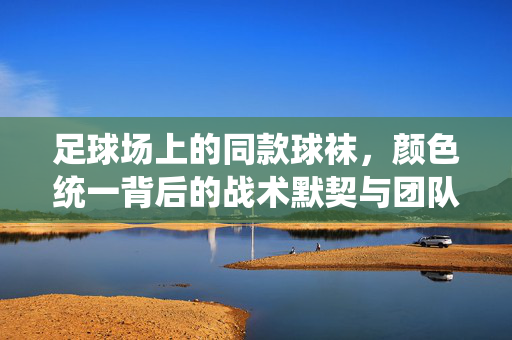 足球场上的同款球袜，颜色统一背后的战术默契与团队凝聚力，足球场上的同款球袜，颜色统一背后的战术默契与团队凝聚力