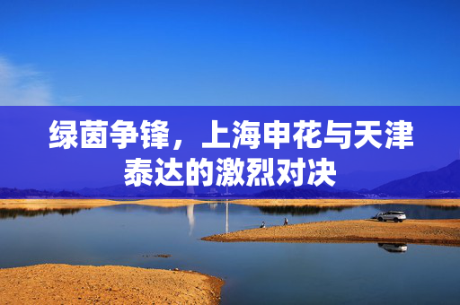绿茵争锋，上海申花与天津泰达的激烈对决