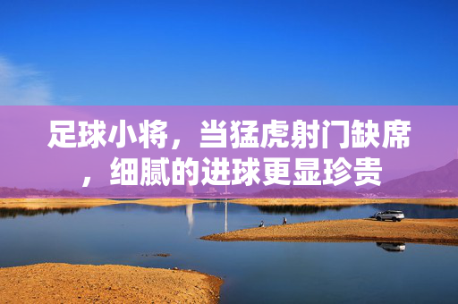 足球小将，当猛虎射门缺席，细腻的进球更显珍贵