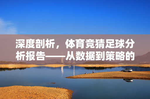 深度剖析，体育竞猜足球分析报告——从数据到策略的精准预判，深度剖析，体育竞猜足球分析报告——从数据到策略的精准预判