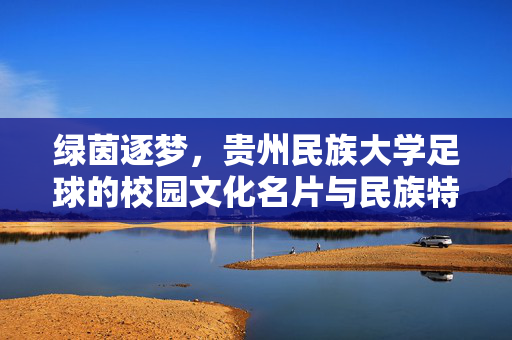 绿茵逐梦，贵州民族大学足球的校园文化名片与民族特色传承，绿茵逐梦，贵州民族大学足球的校园文化名片与民族特色传承
