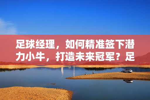 足球经理，如何精准签下潜力小牛，打造未来冠军？足球经理，如何精准签下潜力小牛，打造未来冠军？