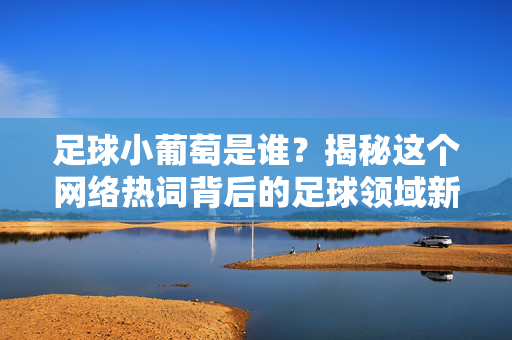 足球小葡萄是谁？揭秘这个网络热词背后的足球领域新面孔，足球小葡萄是谁？揭秘这个网络热词背后的足球领域新面孔