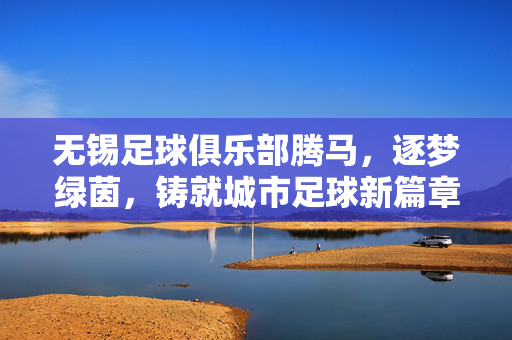 无锡足球俱乐部腾马，逐梦绿茵，铸就城市足球新篇章，无锡足球俱乐部腾马，逐梦绿茵，铸就城市足球新篇章