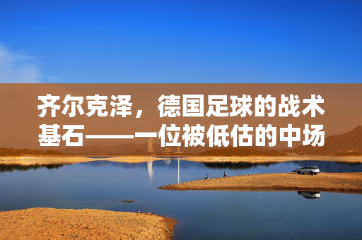 齐尔克泽，德国足球的战术基石——一位被低估的中场大师，齐尔克泽，德国足球的战术基石——一位被低估的中场大师