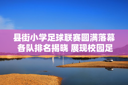 县街小学足球联赛圆满落幕 各队排名揭晓 展现校园足球蓬勃生机