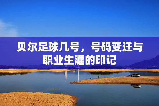 贝尔足球几号，号码变迁与职业生涯的印记