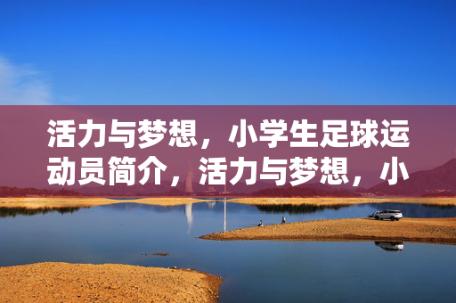 活力与梦想，小学生足球运动员简介，活力与梦想，小学生足球运动员简介