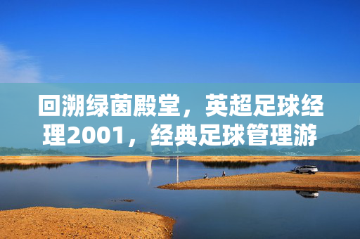 回溯绿茵殿堂，英超足球经理2001，经典足球管理游戏的永恒魅力，回溯绿茵殿堂，英超足球经理2001，经典足球管理游戏的永恒魅力