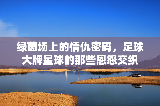 绿茵场上的情仇密码，足球大牌星球的那些恩怨交织