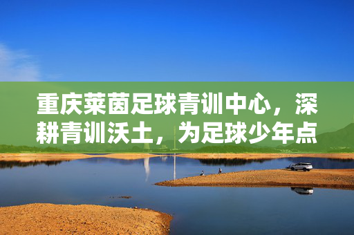 重庆莱茵足球青训中心，深耕青训沃土，为足球少年点亮梦想之光
