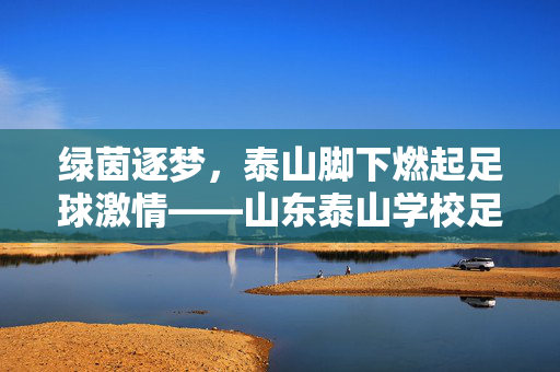 绿茵逐梦，泰山脚下燃起足球激情——山东泰山学校足球联赛精彩回顾，绿茵逐梦，泰山脚下燃起足球激情——山东泰山学校足球联赛精彩回顾