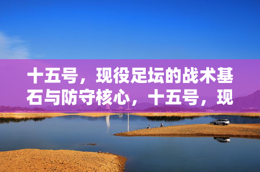 十五号，现役足坛的战术基石与防守核心，十五号，现役足坛的战术基石与防守核心