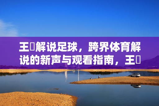 王濛解说足球，跨界体育解说的新声与观看指南，王濛解说足球，跨界体育解说的新声与观看指南