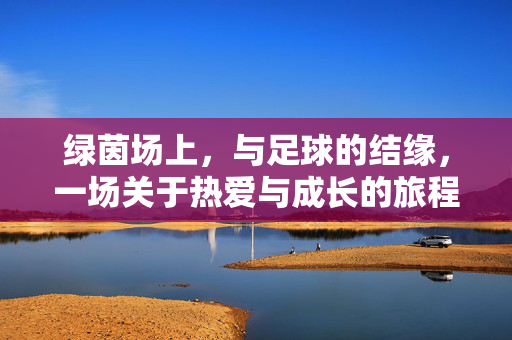 绿茵场上，与足球的结缘，一场关于热爱与成长的旅程