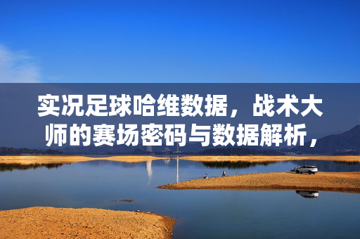 实况足球哈维数据，战术大师的赛场密码与数据解析，实况足球哈维数据，战术大师的赛场密码与数据解析