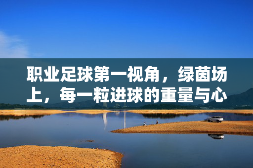 职业足球第一视角，绿茵场上，每一粒进球的重量与心跳