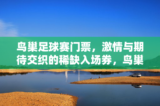 鸟巢足球赛门票，激情与期待交织的稀缺入场券，鸟巢足球赛门票，激情与期待交织的稀缺入场券