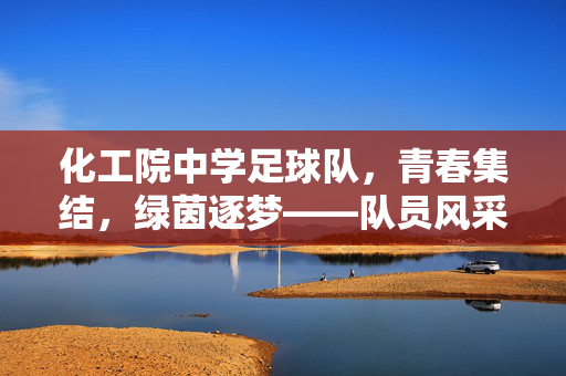 化工院中学足球队，青春集结，绿茵逐梦——队员风采与团队精神展现，化工院中学足球队，青春集结，绿茵逐梦——队员风采与团队精神展现