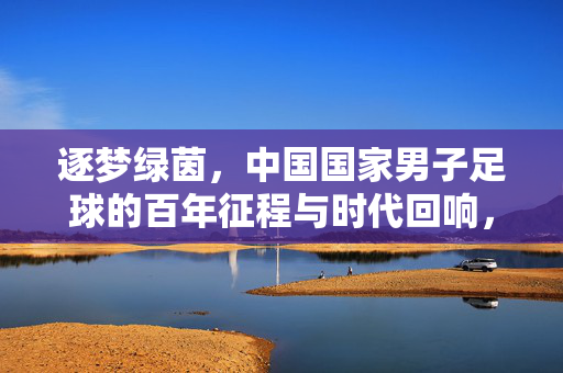 逐梦绿茵，中国国家男子足球的百年征程与时代回响，逐梦绿茵，中国国家男子足球的百年征程与时代回响