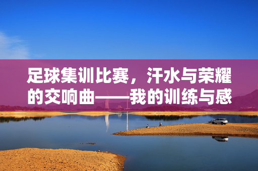 足球集训比赛，汗水与荣耀的交响曲——我的训练与感悟，足球集训比赛，汗水与荣耀的交响曲——我的训练与感悟