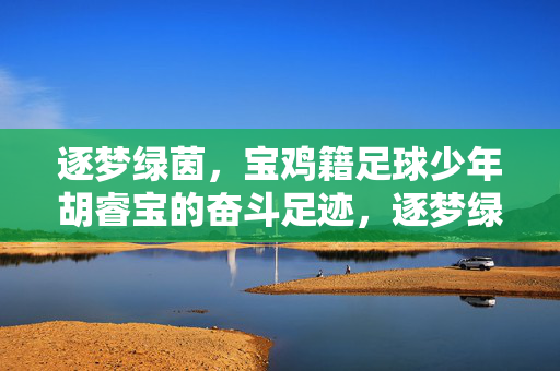 逐梦绿茵，宝鸡籍足球少年胡睿宝的奋斗足迹，逐梦绿茵，宝鸡籍足球少年胡睿宝的奋斗足迹