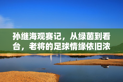 孙继海观赛记，从绿茵到看台，老将的足球情缘依旧浓，孙继海观赛记，从绿茵到看台，老将足球情缘依旧浓