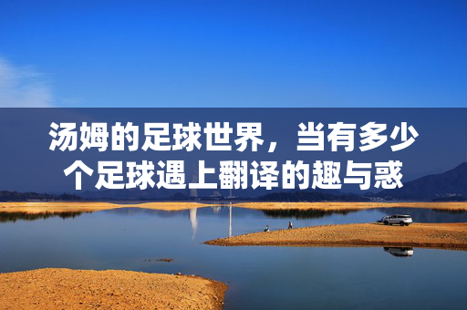 汤姆的足球世界,当有多少个足球遇上翻译的趣与惑
