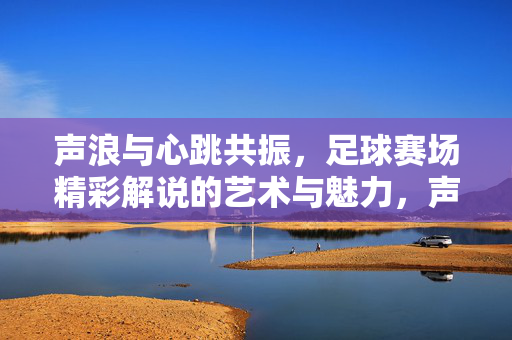 声浪与心跳共振，足球赛场精彩解说的艺术与魅力，声浪与心跳共振，足球赛场精彩解说的艺术与魅力