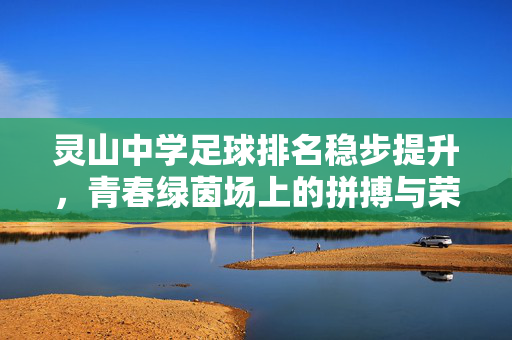 灵山中学足球排名稳步提升，青春绿茵场上的拼搏与荣光，灵山中学足球排名稳步提升，绿茵场上的青春拼搏与荣光