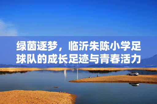 绿茵逐梦，临沂朱陈小学足球队的成长足迹与青春活力，绿茵逐梦，临沂朱陈小学足球队的成长足迹与青春活力