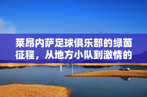 莱昂内萨足球俱乐部的绿茵征程，从地方小队到激情的象征，莱昂内萨足球俱乐部的绿茵征程，从地方小队到激情的象征