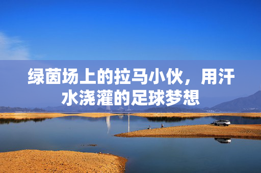 绿茵场上的拉马小伙，用汗水浇灌的足球梦想