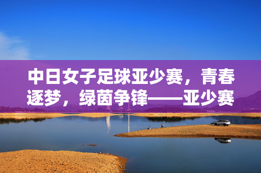 中日女子足球亚少赛，青春逐梦，绿茵争锋——亚少赛赛场上的精彩对决与足球精神传承