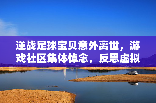 逆战足球宝贝意外离世，游戏社区集体悼念，反思虚拟与现实边界，逆战足球宝贝意外离世，游戏社区集体悼念，反思虚拟与现实边界