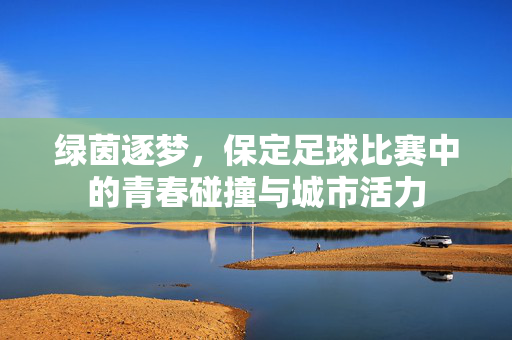 绿茵逐梦，保定足球比赛中的青春碰撞与城市活力