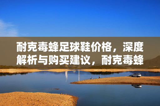 耐克毒蜂足球鞋价格，深度解析与购买建议，耐克毒蜂足球鞋价格，深度解析与购买建议