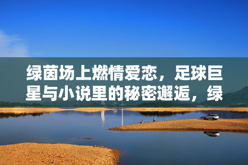 绿茵场上燃情爱恋，足球巨星与小说里的秘密邂逅，绿茵场上燃情爱恋，足球巨星与小说里的秘密邂逅