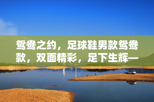 鸳鸯之约,足球鞋男款鸳鸯款,双面精彩,足下生辉——不止于美,更胜于战