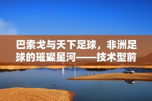 巴索戈与天下足球，非洲足球的璀璨星河——技术型前锋的足球哲学与时代印记，巴索戈与天下足球，非洲足球的璀璨星河——技术型前锋的足球哲学与时代印记
