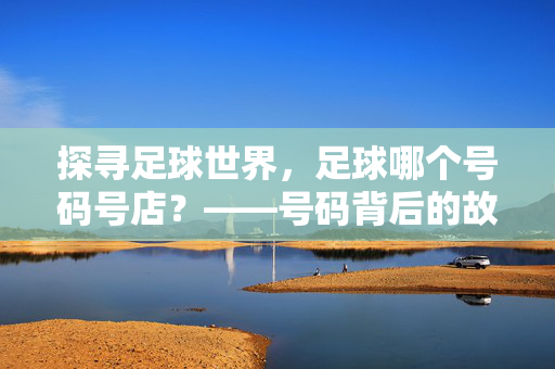 探寻足球世界，足球哪个号码号店？——号码背后的故事与店铺推荐，探寻足球世界，足球哪个号码号店？——号码背后的故事与店铺推荐