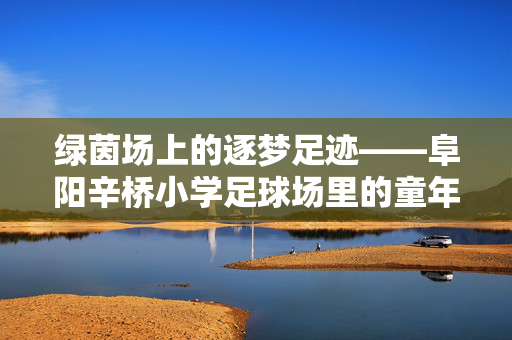 绿茵场上的逐梦足迹——阜阳辛桥小学足球场里的童年交响