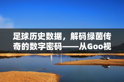 足球历史数据，解码绿茵传奇的数字密码——从Goo视角透视足球百年演变，足球历史数据，解码绿茵传奇的数字密码——从Goo视角透视足球百年演变