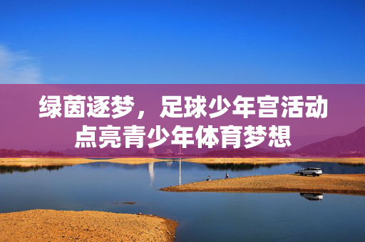 绿茵逐梦，足球少年宫活动点亮青少年体育梦想