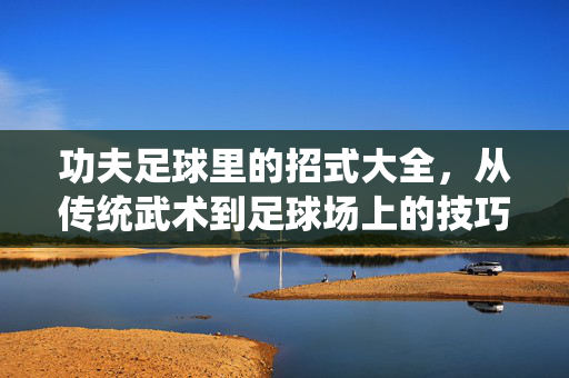 功夫足球里的招式大全，从传统武术到足球场上的技巧奇招，功夫足球里的招式大全，从传统武术到足球场上的技巧奇招