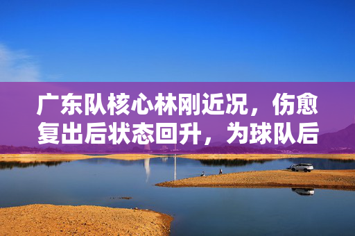 广东队核心林刚近况，伤愈复出后状态回升，为球队后防注入新活力，广东队核心林刚伤愈复出状态回升 为球队后防注入新活力