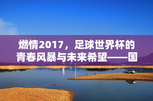燃情2017，足球世界杯的青春风暴与未来希望——国际足联U-17男子世界杯侧记，燃情2017，足球世界杯的青春风暴与未来希望——国际足联U-17男子世界杯侧记
