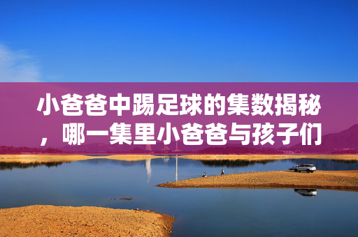 小爸爸中踢足球的集数揭秘，哪一集里小爸爸与孩子们一起欢快踢球？小爸爸踢足球的集数揭秘，小爸爸与孩子们一起欢快踢球的场景在哪一集？