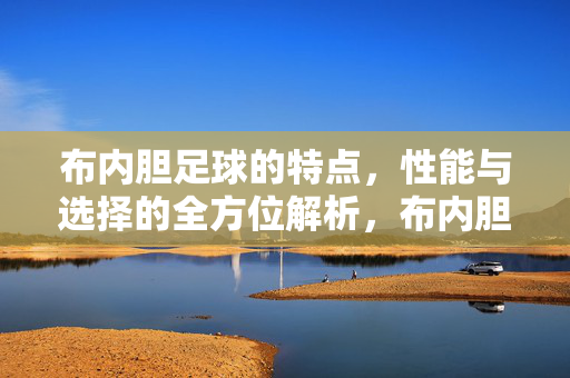 布内胆足球的特点，性能与选择的全方位解析，布内胆足球的特点、性能与选择的全方位解析
