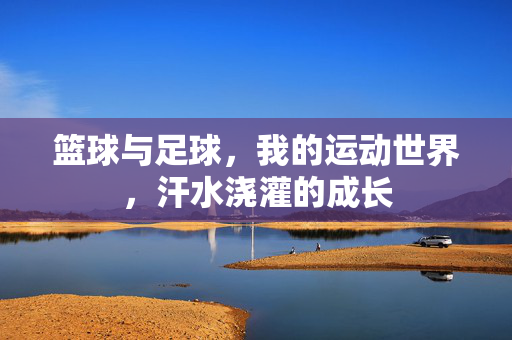 篮球与足球，我的运动世界，汗水浇灌的成长